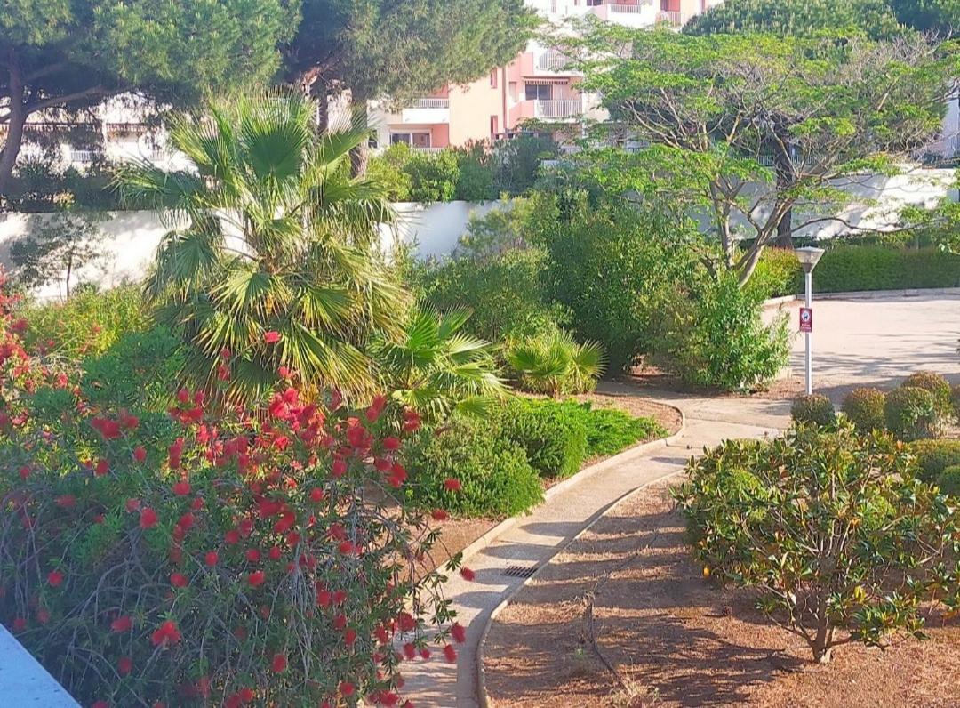 Studio Pour 4 Personnes Proche Du Port Et Des Plages Agde Buitenkant foto